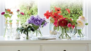 cvety bukety piony 300x169 - ¿Cómo decorar tu casa con flores?